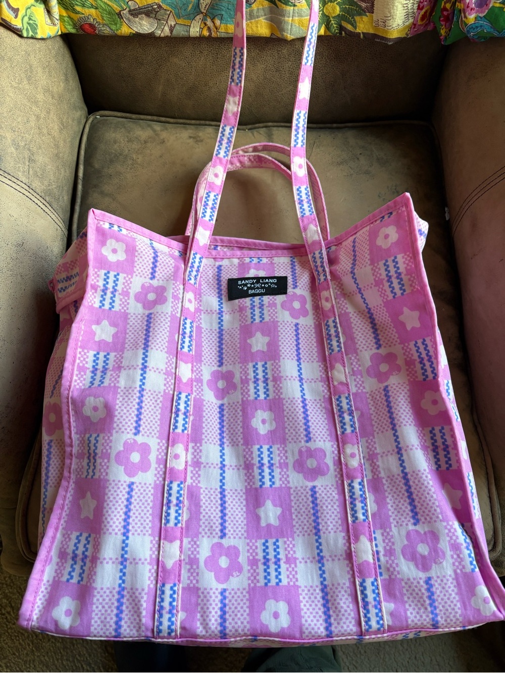 VGUC Baggu X Sandy Liang Large Market tote